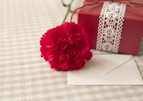 Red carnation and a gift box Stock Photos