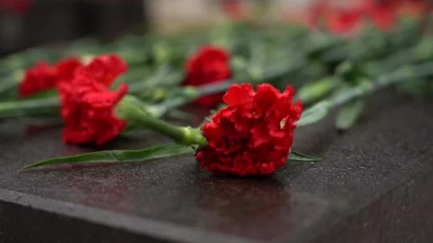 Red Carnation flowers placed on a Black marble grave tombstone 스톡 동영상 329392305