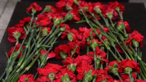 Red Carnation flowers placed on a Black marble grave tombstone Stock-Footage 329392313