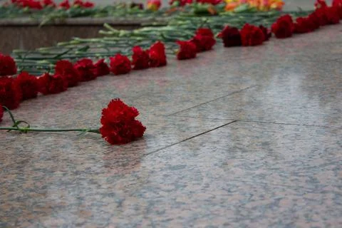 Red carnation on memorial Stock Photos