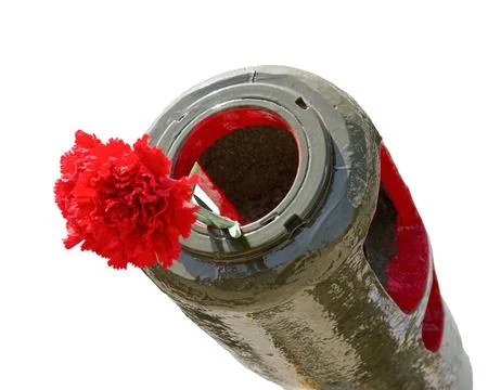 Red Carnation in the muzzle of the gun barrel in the memory of the events. Stock Photos
