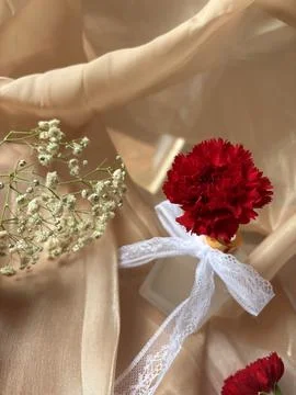 Red carnation wallpaper features delicate and soft Stock Photos