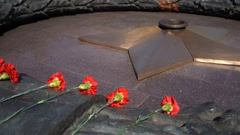 Red carnations and Quenchless Flame (Theme of World War II) Stock Footage 129876861