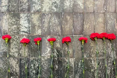 Red carnations by the granite slab Stock Photos