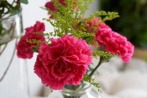 Red carnations in a jar Stock Photos