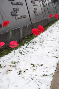Red carnations at the memorial. Memory of fallen soldiers. May 9. Stock Photos