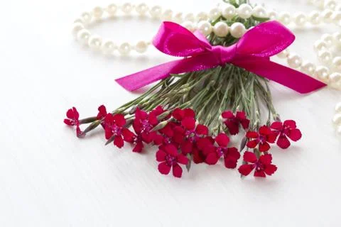 Red carnations Stock Photos