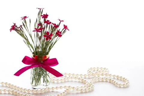 Red carnations Stock Photos