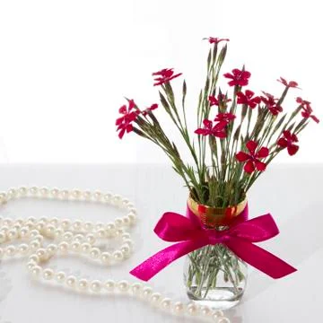 Red carnations Stock Photos