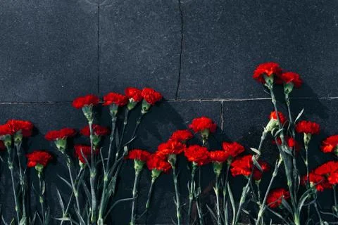 Red carnations put on a granite surface wet after the rain Stock Photos
