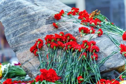 Red carnations on the stone of the monument Stock Photos