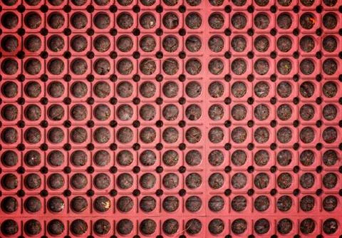 Red carpet background Stock Photos