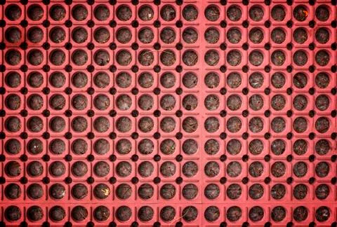 Red carpet background Stock Photos