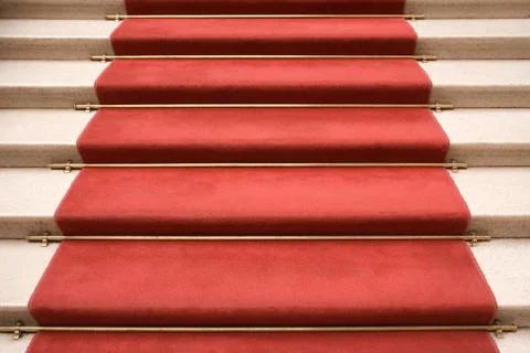 Red Carpet Photos