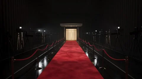 Red Carpet Premiere Press Camera Flashes At Night Seamless Loop Stock-Footage 346936191