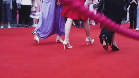 Red carpet with ropes and golden barriers on a luxury party entrance premiere Stock Footage 282924600