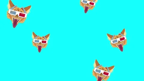 Red cat in 3D glasses. Flickering background Stock Footage 229539738