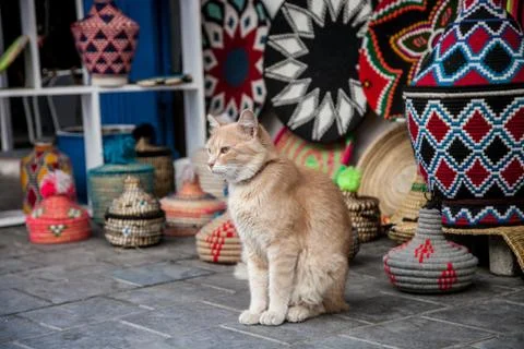 Red cat in the Arab Bazaar Stock Photos