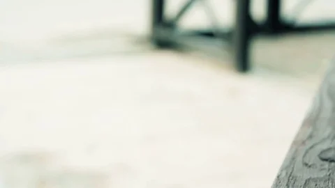 A red cat lays on a bench Stock Footage 79385943