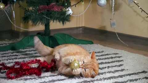 Red cat playing with Christmas decorations under the Christmas tree at home Stock Footage 166239101