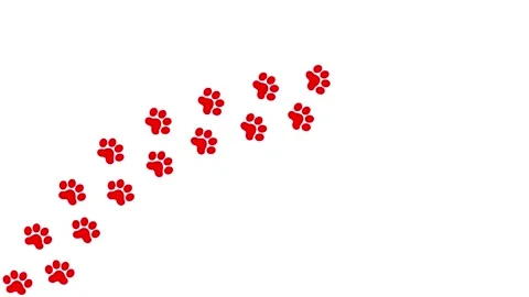 Red cat tracks 2 white Stock Footage 249876084