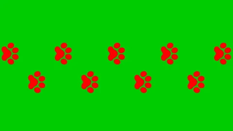 Red cat tracks green Stock Footage 221642424
