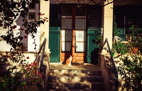 Red cat waiting to be allowed to go home and fed. A cozy porch of a house wit Stock Photos