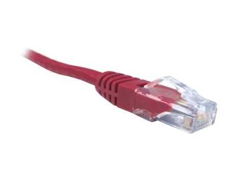 Red CAT5e CAT6 Ethernet Patch Lead Stock Photos