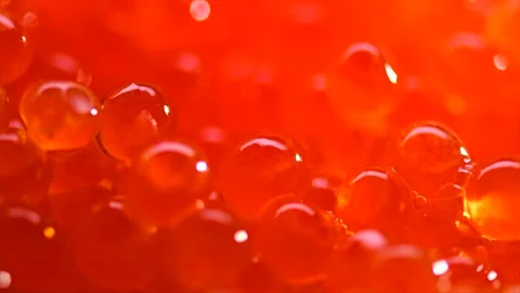 Red caviar background, close up. Salmon caviar macro shot background. Delicious  Stock Footage 295712107