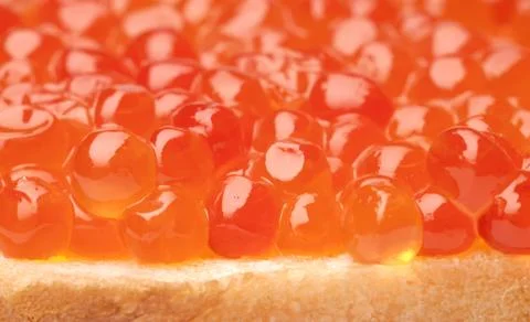 Red caviar background Stock Photos