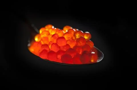 Red caviar on Black Background Stock Photos