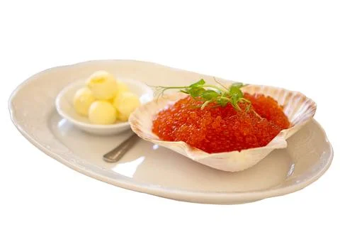 Red caviar in a clam shell on a white plate. Salmon caviar Stock Photos