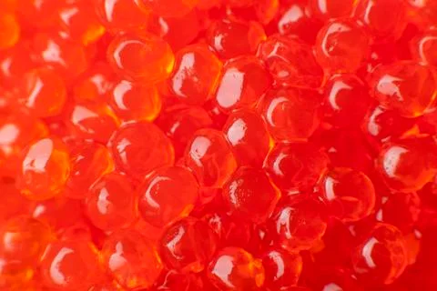 Red caviar close-up Stock Photos