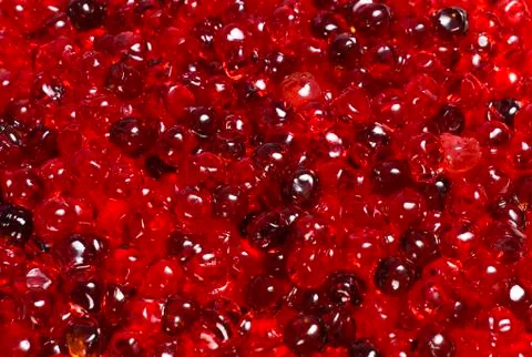 Red caviar close up Stock Photos