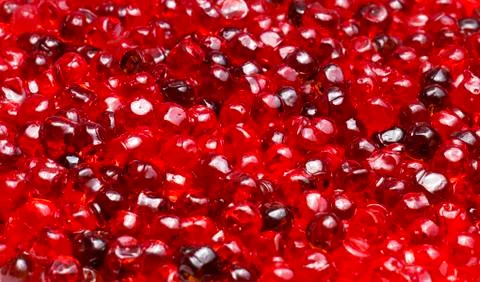 Red caviar close up Stock Photos