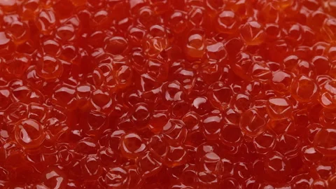 Red caviar close up, rotation. Lots of red caviar. 4K UHD video 스톡 동영상 167114760