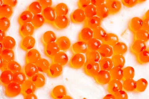 Red Caviar Close-Up Texture Background Stock Photos