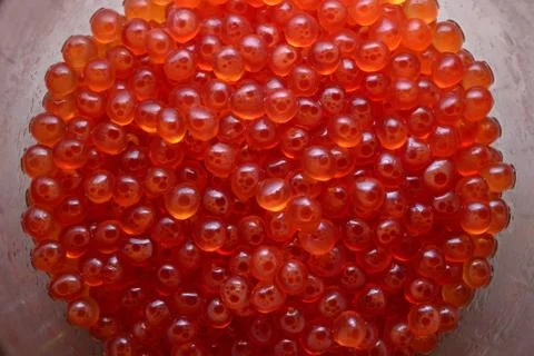Red caviar. closeup Stock Photos