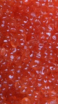 Red caviar at day Stock Photos