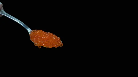 Red caviar falling from a spoon in 4K Stock Footage 143961169