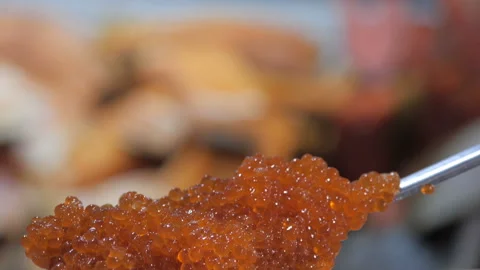 Red caviar falls from a full spoon in a close-up Stock Footage 96755530