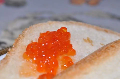 Red caviar on fresh bread Stock Photos