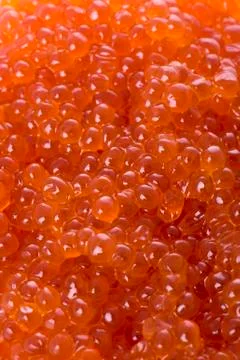 Red caviar Stock Photos