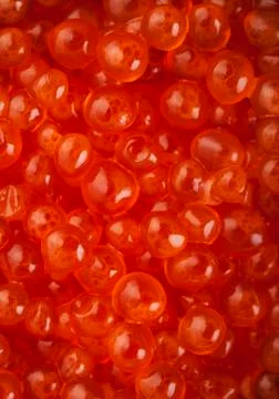 Red caviar Stock Photos