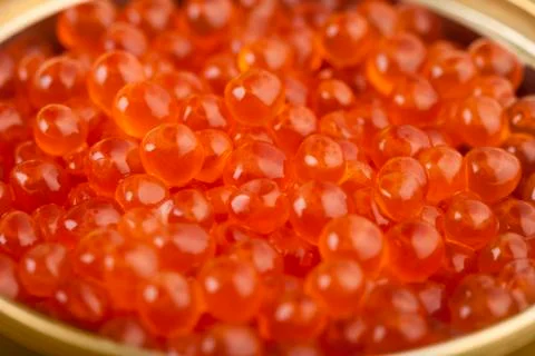 Red caviar Stock Photos