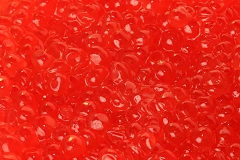 Red caviar. Stock Photos