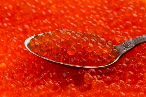 The red caviar Stock Photos