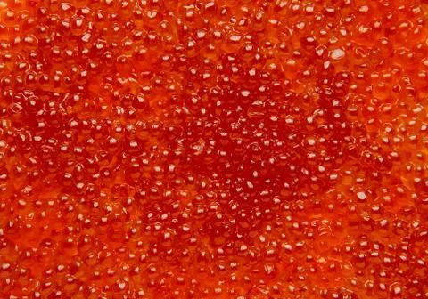 Red caviar Stock Photos