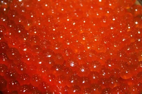 Red caviar Stock Photos