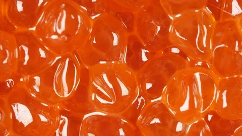 Red caviar rotated background. Salmon caviar macro. Salted fish caviar Stock Footage 122447787
